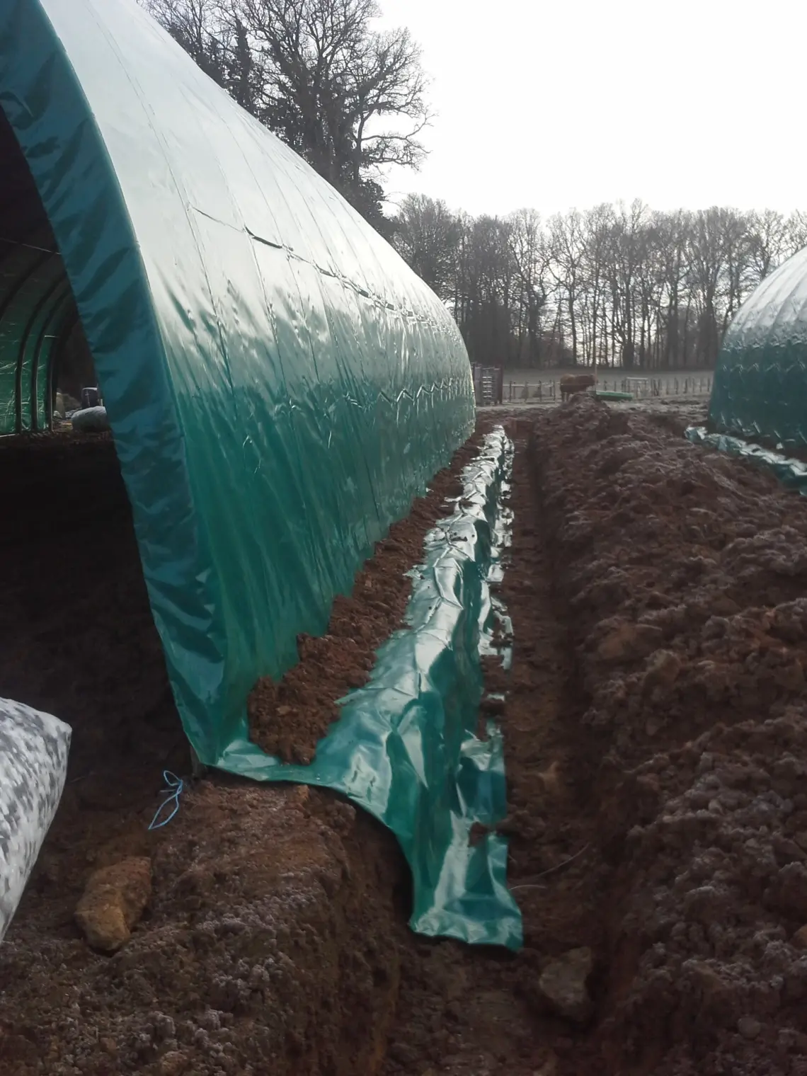 Bâche pour tunnel agricole